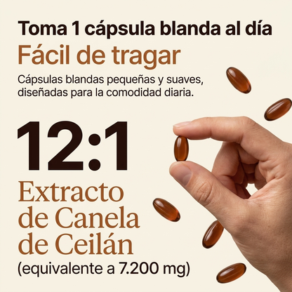 Canela de Ceilán equivalente a 7200 mg con aceite MCT